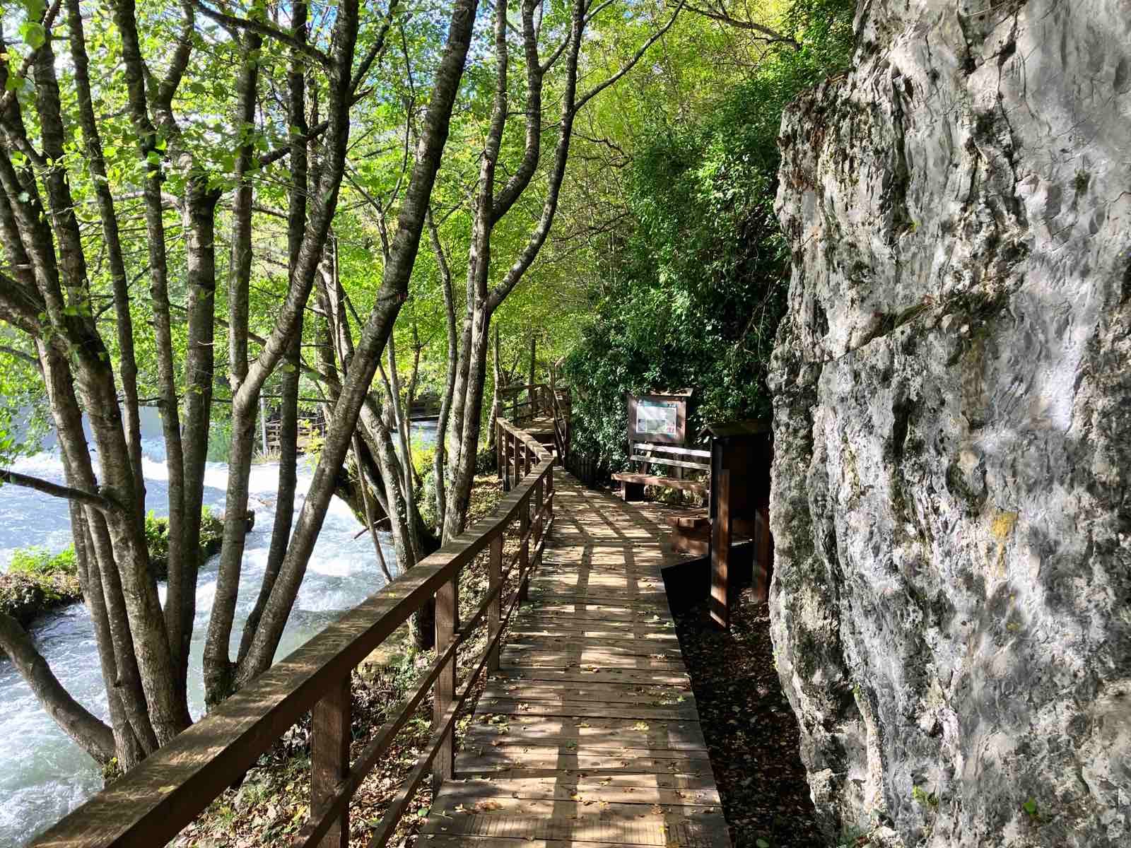 Pogled na Štrbački buk sa drvene platforme kroz šumu